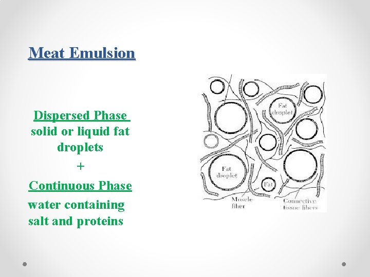 Meat Emulsion Dispersed Phase solid or liquid fat droplets + Continuous Phase water containing