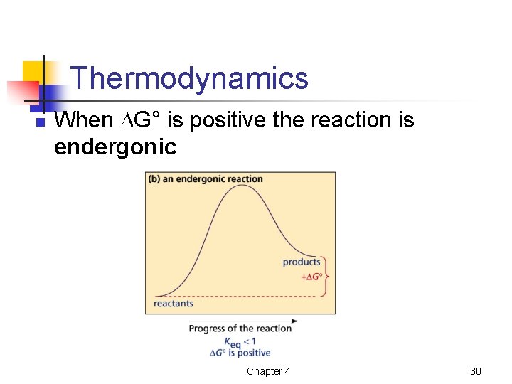 Thermodynamics n When G° is positive the reaction is endergonic Chapter 4 30 