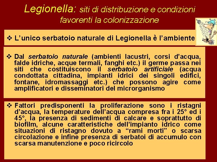 Legionella: siti di distribuzione e condizioni favorenti la colonizzazione v L’unico serbatoio naturale di