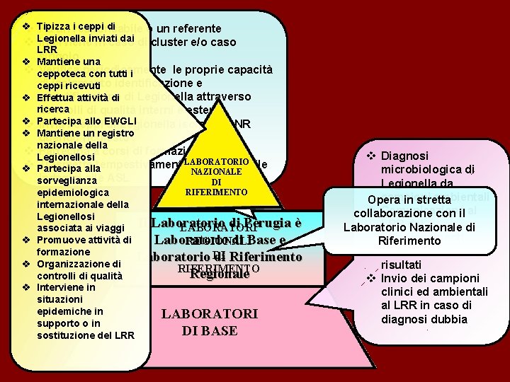 v ceppi di v Tipizza Ha un iresponsabile o un referente Legionella inviati dai