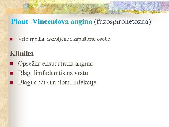 Plaut -Vincentova angina (fuzospirohetozna) n Vrlo rijetka: iscrpljene i zapuštene osobe Klinika n n Plaut -Vincentova angina (fuzospirohetozna) n Vrlo rijetka: iscrpljene i zapuštene osobe Klinika n n