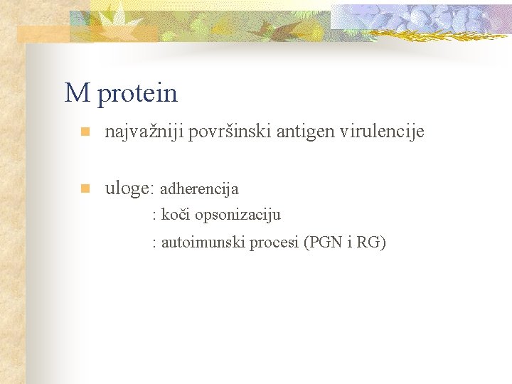 M protein n najvažniji površinski antigen virulencije n uloge: adherencija : koči opsonizaciju :