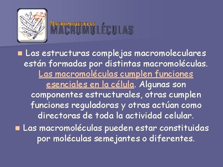 Las estructuras complejas macromoleculares están formadas por distintas macromoléculas. Las macromoléculas cumplen funciones esenciales