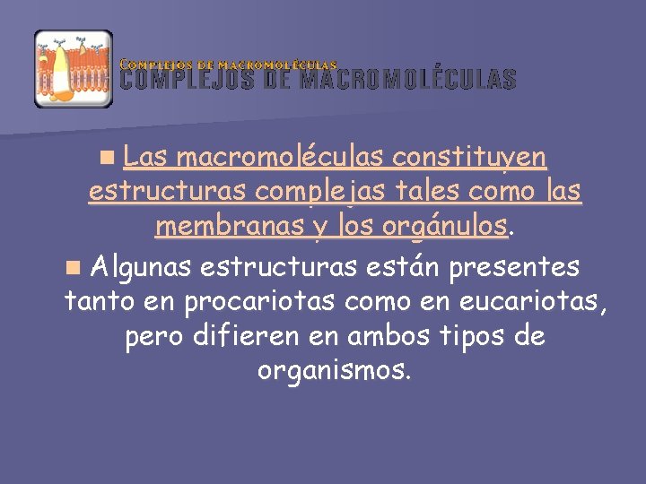 n Las macromoléculas constituyen estructuras complejas tales como las membranas y los orgánulos. n