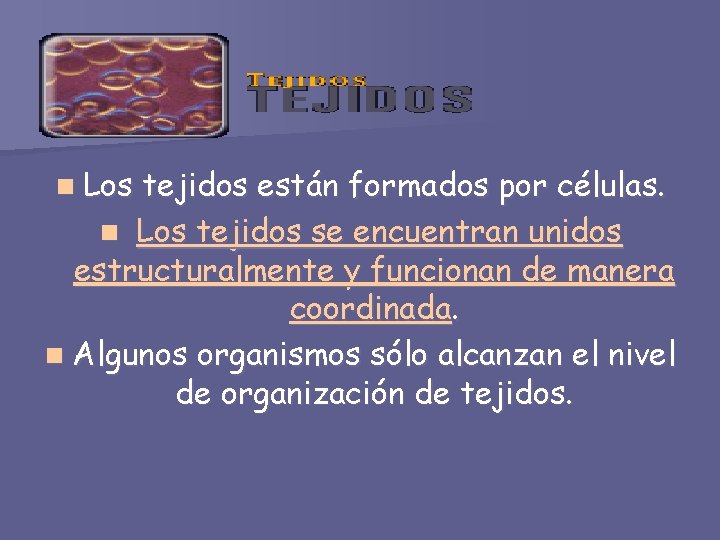 n Los tejidos están formados por células. n Los tejidos se encuentran unidos estructuralmente