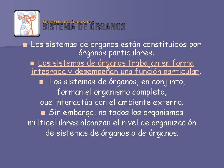 Los sistemas de órganos están constituidos por órganos particulares. n Los sistemas de órganos