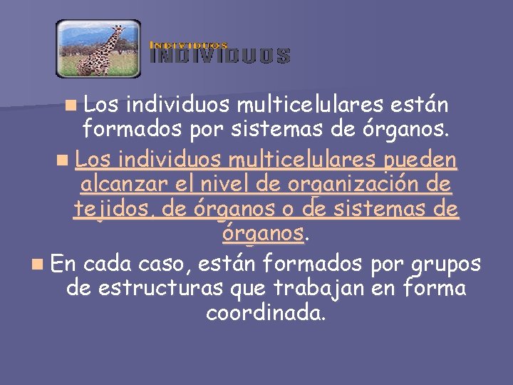 n Los individuos multicelulares están formados por sistemas de órganos. n Los individuos multicelulares