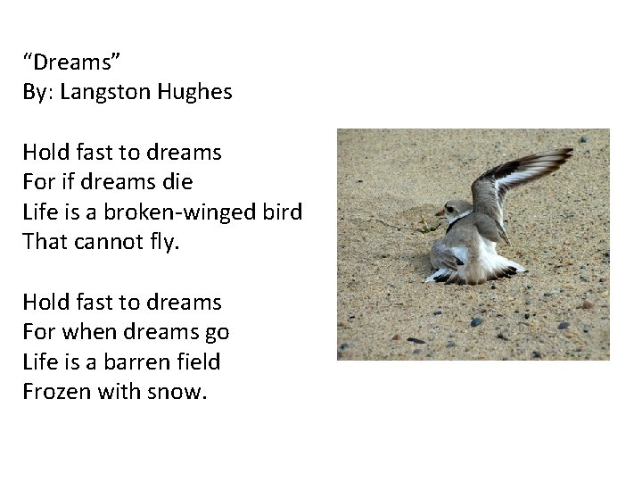 “Dreams” By: Langston Hughes Hold fast to dreams For if dreams die Life is