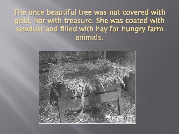 The once beautiful tree was not covered with gold, nor with treasure. She was The once beautiful tree was not covered with gold, nor with treasure. She was