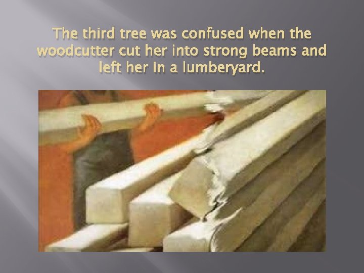 The third tree was confused when the woodcutter cut her into strong beams and