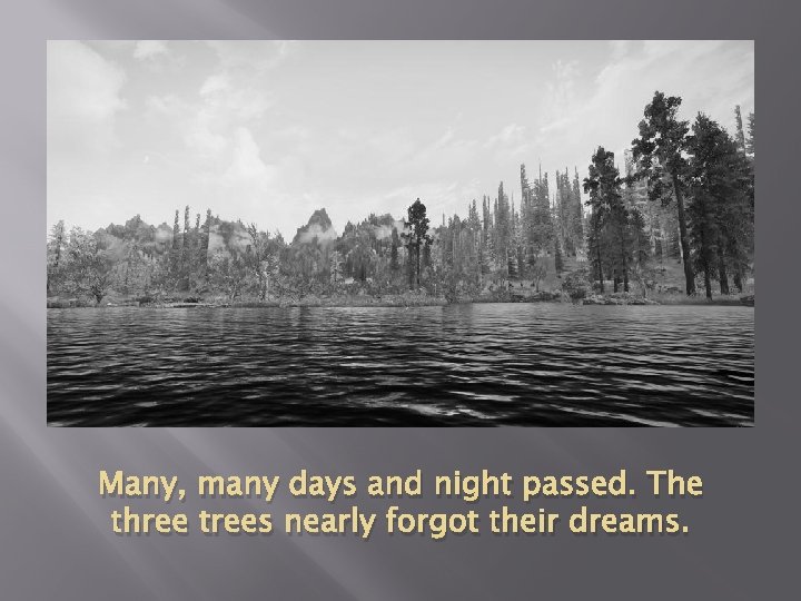 Many, many days and night passed. The three trees nearly forgot their dreams. 