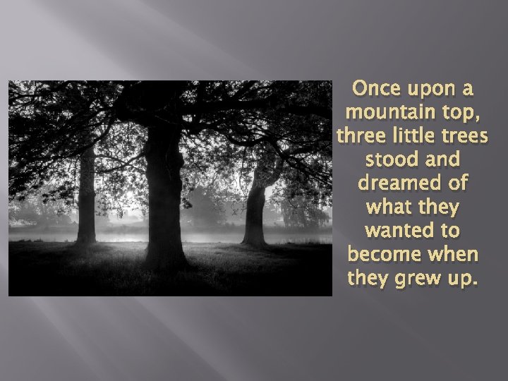 Once upon a mountain top, three little trees stood and dreamed of what they