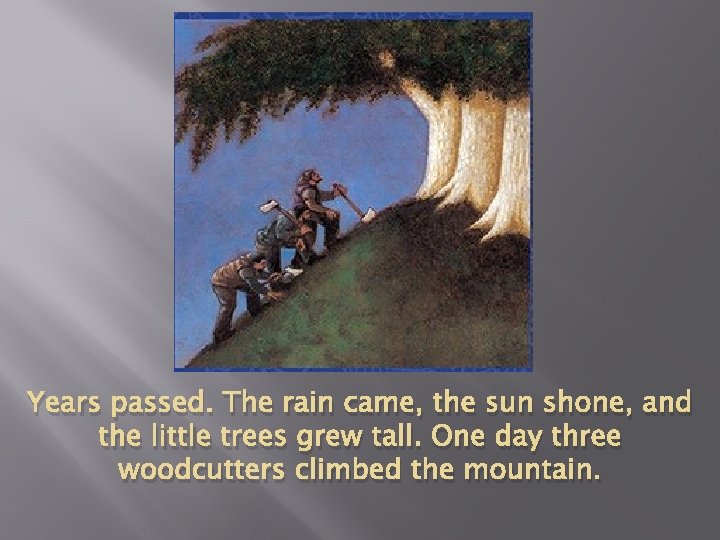 Years passed. The rain came, the sun shone, and the little trees grew tall. Years passed. The rain came, the sun shone, and the little trees grew tall.