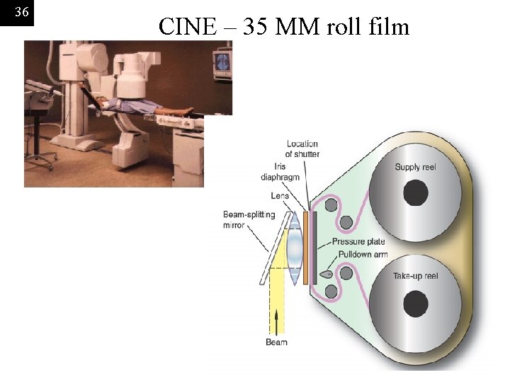 36 CINE – 35 MM roll film 