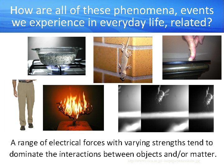 How are all of these phenomena, events we experience in everyday life, related? A