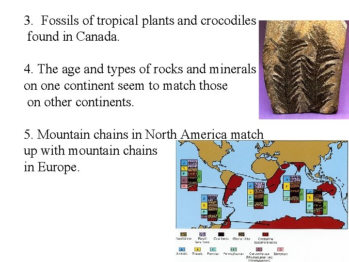 3. Fossils of tropical plants and crocodiles found in Canada. 4. The age and