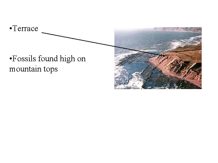  • Terrace • Fossils found high on mountain tops 