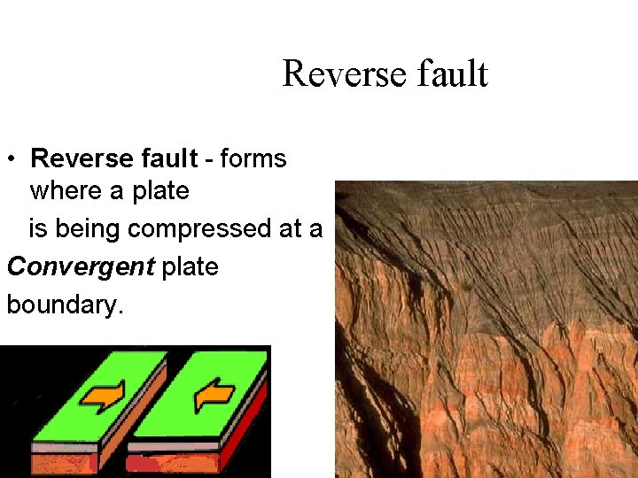 Reverse fault • Reverse fault - forms where a plate is being compressed at