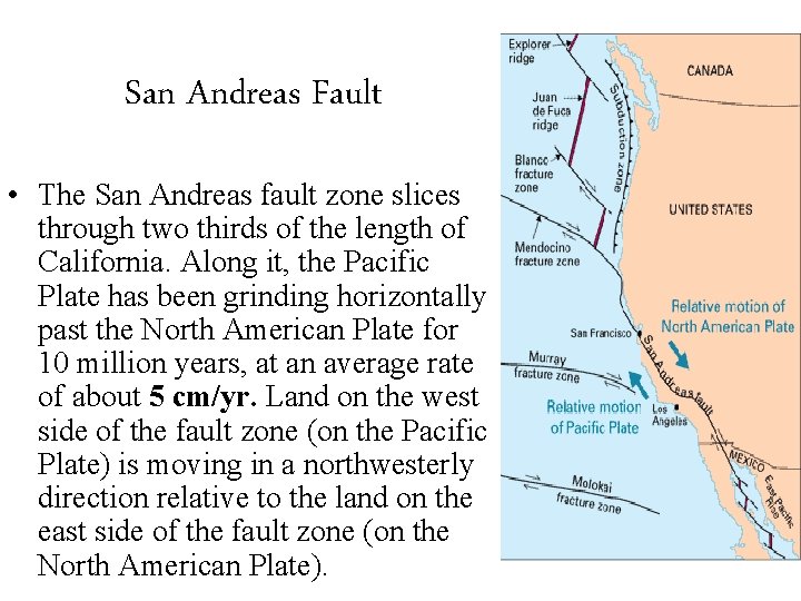 San Andreas Fault • The San Andreas fault zone slices through two thirds of