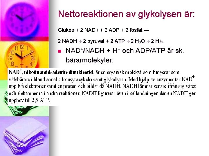 Nettoreaktionen av glykolysen är: Glukos + 2 NAD+ + 2 ADP + 2 fosfat