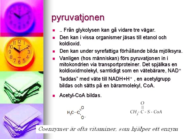 pyruvatjonen n n . . Från glykolysen kan gå vidare tre vägar. Den kan