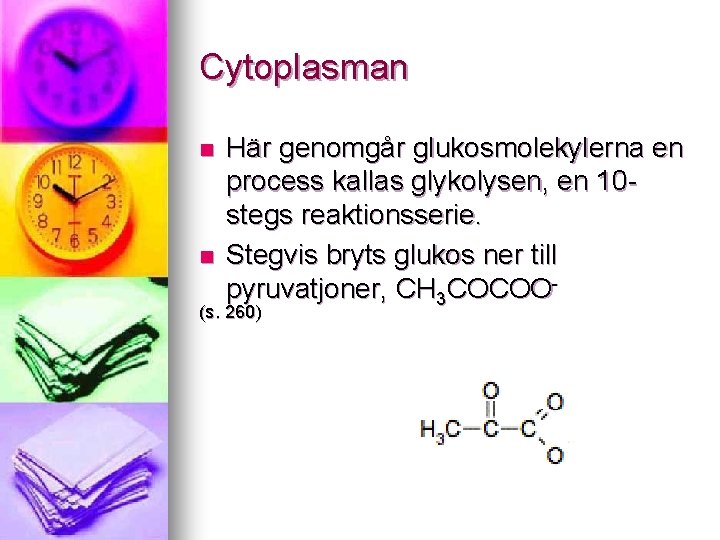 Cytoplasman n n Här genomgår glukosmolekylerna en process kallas glykolysen, en 10 stegs reaktionsserie.