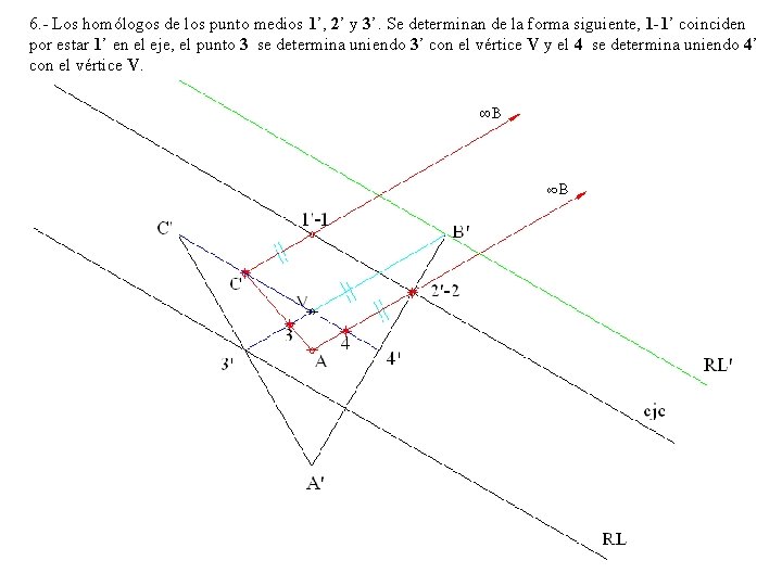 6. - Los homólogos de los punto medios 1’, 2’ y 3’. Se determinan