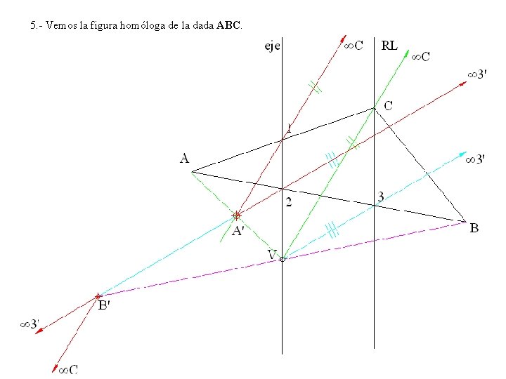 5. - Vemos la figura homóloga de la dada ABC. 