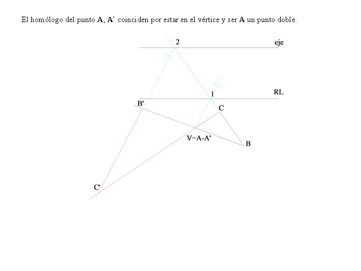 El homólogo del punto A, A’ coinciden por estar en el vértice y ser