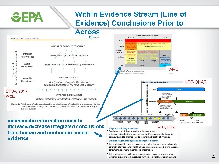 Within Evidence Stream (Line of Evidence) Conclusions Prior to Across IARC NTP-OHAT EFSA 2017