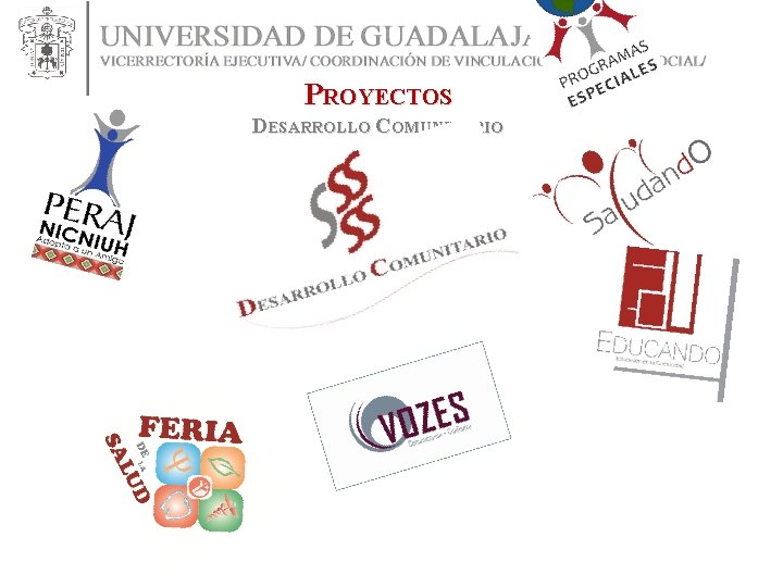 PROYECTOS DESARROLLO COMUNITARIO PROYECTOS DESARROLLO COMUNITARIO