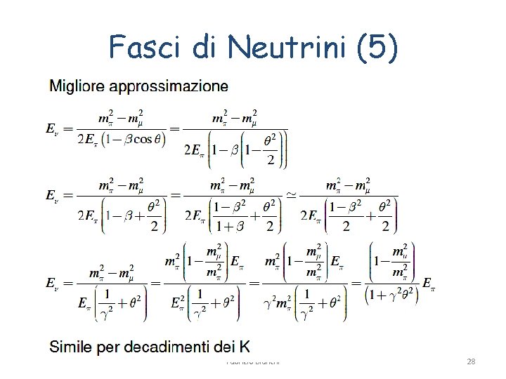 Fasci di Neutrini (5) Fabrizio Bianchi 28 