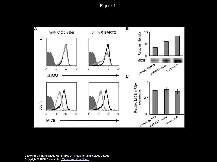 Figure 1 Cell Host & Microbe 2009 5376 -385 DOI: (10. 1016/j. chom. 2009.