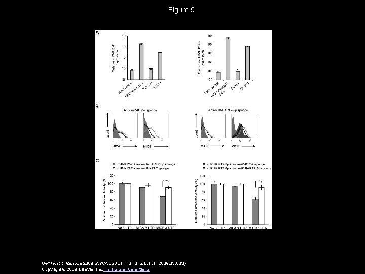 Figure 5 Cell Host & Microbe 2009 5376 -385 DOI: (10. 1016/j. chom. 2009.