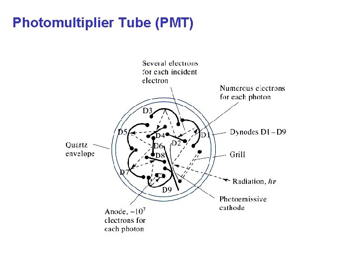 Photomultiplier Tube (PMT) 