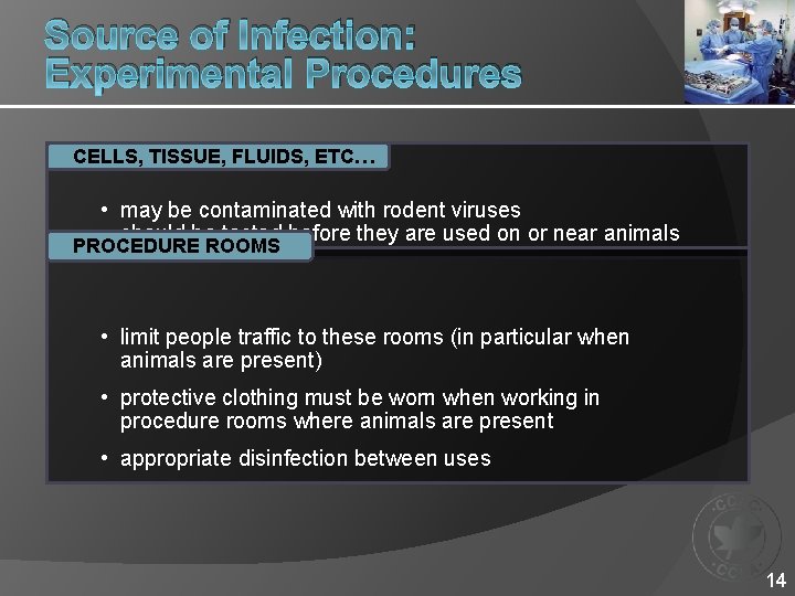 Source of Infection: Experimental Procedures CELLS, TISSUE, FLUIDS, ETC… • may be contaminated with
