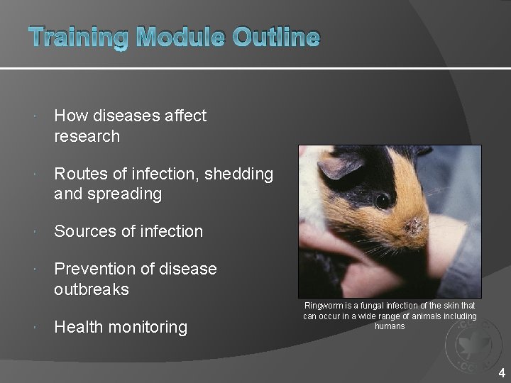 Training Module Outline How diseases affect research Routes of infection, shedding and spreading Sources