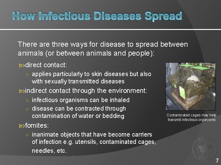 How Infectious Diseases Spread There are three ways for disease to spread between animals
