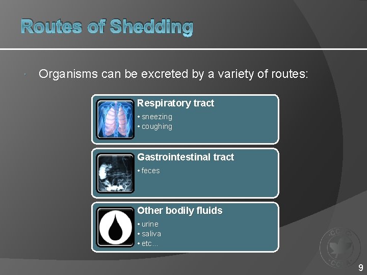 Routes of Shedding Organisms can be excreted by a variety of routes: Respiratory tract