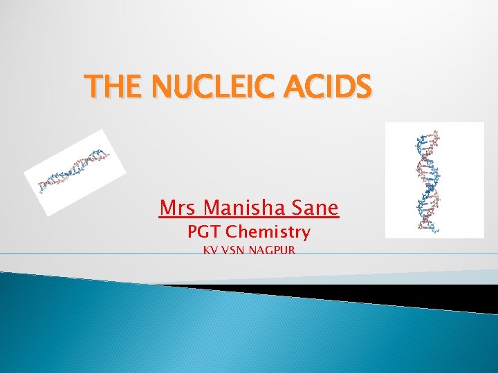 THE NUCLEIC ACIDS Mrs Manisha Sane PGT Chemistry KV VSN NAGPUR 