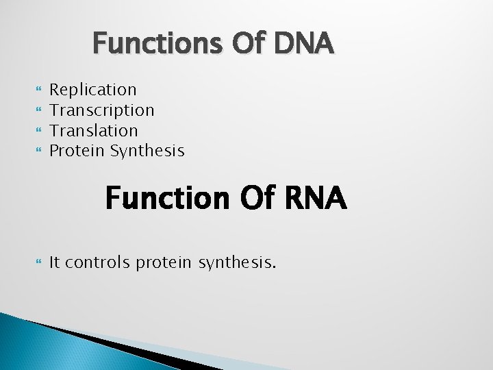 Functions Of DNA Replication Transcription Translation Protein Synthesis Function Of RNA It controls protein