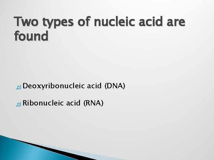 Two types of nucleic acid are found Deoxyribonucleic Ribonucleic acid (DNA) acid (RNA) 
