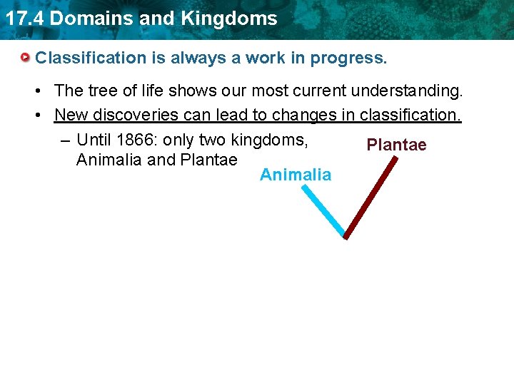 17. 4 Domains and Kingdoms Classification is always a work in progress. • The