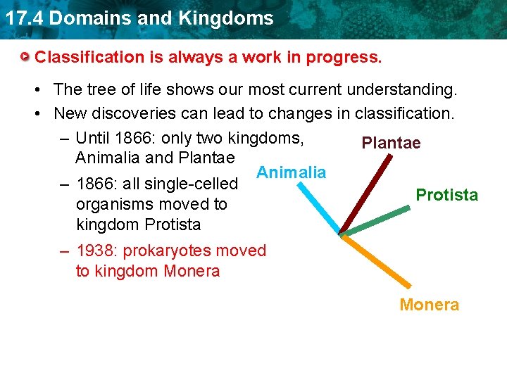 17. 4 Domains and Kingdoms Classification is always a work in progress. • The