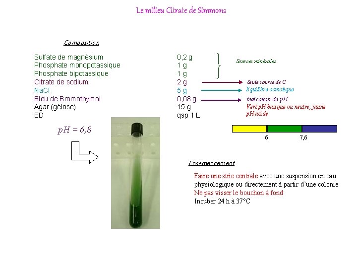 Le milieu Citrate de Simmons Composition Sulfate de magnésium Phosphate monopotassique Phosphate bipotassique Citrate