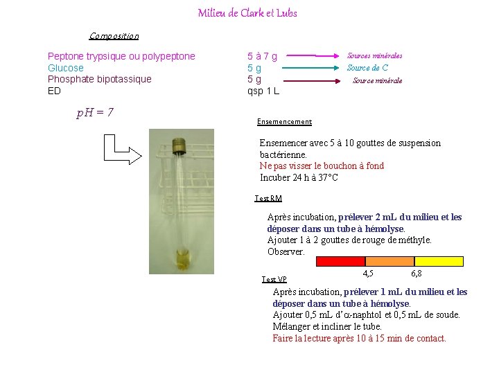 Milieu de Clark et Lubs Composition Peptone trypsique ou polypeptone Glucose Phosphate bipotassique ED