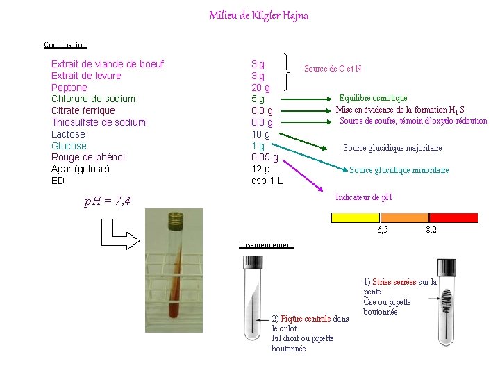 Milieu de Kligler Hajna Composition Extrait de viande de boeuf Extrait de levure Peptone