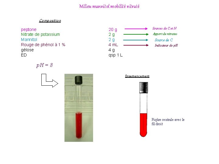 Milieu mannitol mobilité nitraté Composition peptone Nitrate de potassium Mannitol Rouge de phénol à