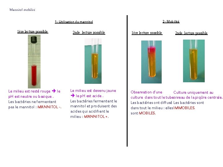 Mannitol mobilité 2 - Mobilité 1 - Utilisation du mannitol 1ère lecture possible Le