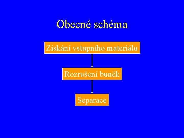 Obecné schéma Získání vstupního materiálu Rozrušení buněk Separace 